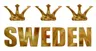 New Sweden Boxing Federation