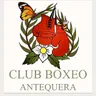 Club boxeo Antequera