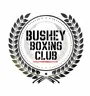 Bushey boxing club