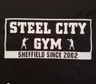 Steel city sheffield