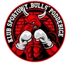 KS „BULLS” Poddębice